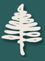 Traditional Arts in Upstate New York (TAUNY) Logo