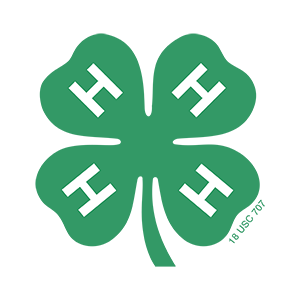 National 4-H Council Logo