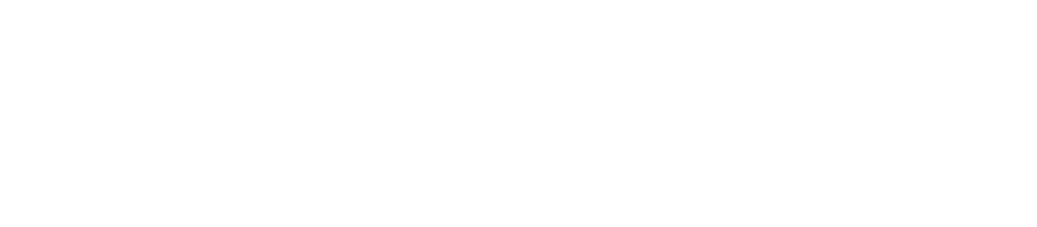 Beyond the Board Logo